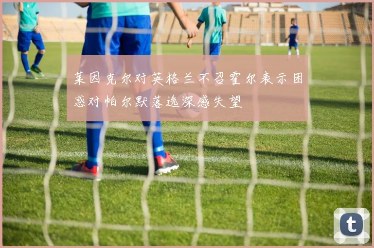 莱因克尔对英格兰不召霍尔表示困惑对帕尔默落选深感失望