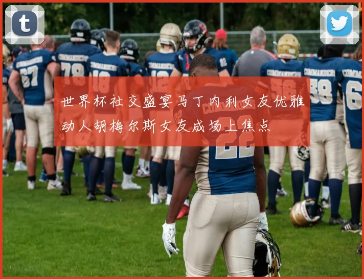 世界杯社交盛宴马丁内利女友优雅动人胡梅尔斯女友成场上焦点
